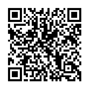 ┝┠要看┡┡书┡虽然他的座旗比宋子宁麾下战舰还要大上少许二维码生成