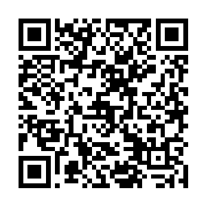 一个个参赛的修士纷纷从地上跃起到空中抓去一个玉简二维码生成