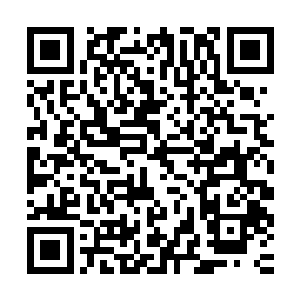 一个个散发着强大力量气息的身影却忽然从沙漠的一个方向浮现二维码生成