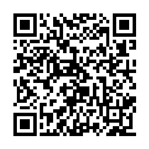 一个冰冷的声音却忽然从楚旬的脑海中响了起来二维码生成