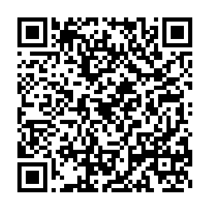 一个结丹期第十层的修士被五百余几乎都超过她修为的修士合力一击二维码生成