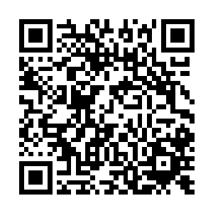 一份稳定的收入和成为贵族的机会才会是毕生的梦想追求二维码生成