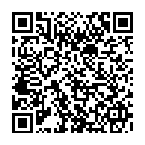 一只二阶的普通异形几乎可以杀死十多只同阶的虫族以及数之不尽的低阶虫族二维码生成