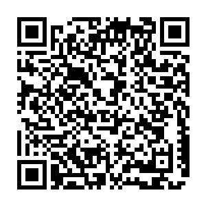 一块巨大的几乎铺满一层地面的柔软兽皮上盘卧着两只一模一样的白润禅蛇二维码生成