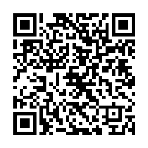 一声声清脆的金属碰撞之声不断的寂静的山林当中响起二维码生成