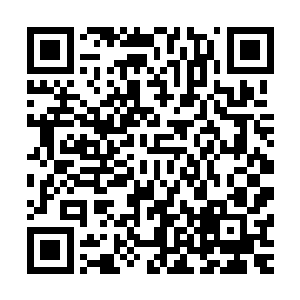 一家正在散发小户型楼盘传单的宣传员都过来给巴克塞了一张二维码生成