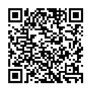 一本有些特殊的青皮册子从一堆黄纸书里跌了出来二维码生成