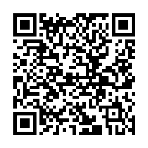 一条原本正悠哉游曳的胖鱼就此结束了自己悠闲的时光二维码生成