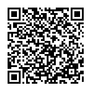 一条好似从天边流来的火焰之泽携着无比狂暴的炙热在两人上方流淌而过二维码生成