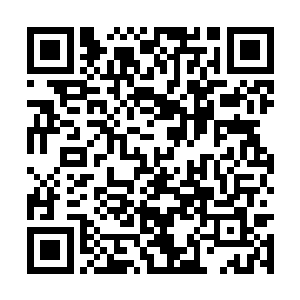 一股冰冷到了极致的杀意也是直接冲入了他的脑海二维码生成