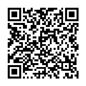 一股恐怖的浩瀚的狂暴的气息也直接从他的身上散发出来二维码生成