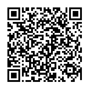 一进来就把全场目光都给吸引住了――不过大家看到是一群半大孩子之后二维码生成