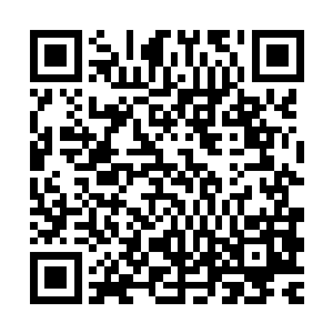 一连串充满赌气意味的声音就此响了起来叮叮叮叮叮叮叮叮……二维码生成