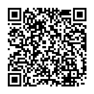 一道道仿若绳索的半透明金色阵法灵力把飞碟结结实实的裹成一个粽子二维码生成