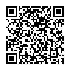 七人以绝强的实力帮助那些正在苦战的炼虚境界斩杀起妖兽来二维码生成