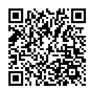 七角山内其实最高等级的灵兽也只不过只有六阶二维码生成