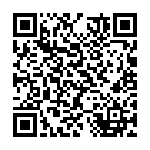 三号窗口的负责人很痛快地给他办了一份佣兵证明二维码生成