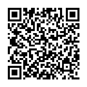 上海这块民主政治的试验田会结出什么样的果实二维码生成