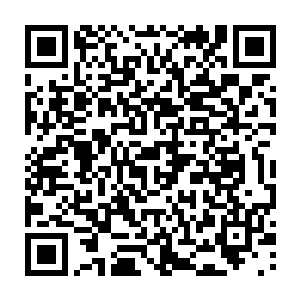 上面竟然派来了调查审计员审计调查250机甲团这些年的各项开支以及团内机甲二维码生成