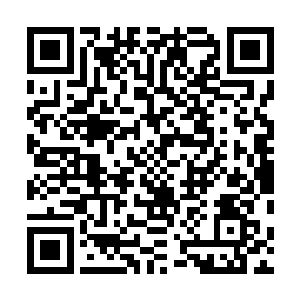 上面给予你的任务是要二十四小时随时保护苏少校的安全二维码生成
