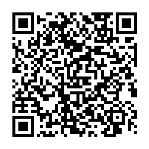 下一场考核这一公一母两位头名状元会不会报名参加倒是引起了不小的话题讨论二维码生成