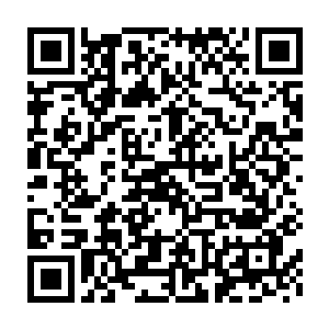 不放过任何角落打量着床榻上脸如白纸眉宇间萦绕着一股病态的燕翊二维码生成