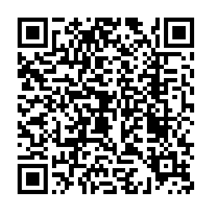 不然只凭妖族的力量根本没有办法对抗人族失去教宗之后的惊天怒焰二维码生成