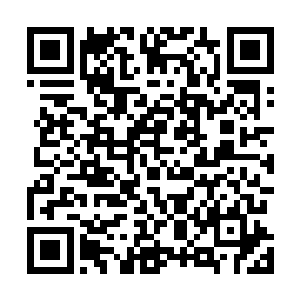 不知我到底凭仗什么用这种目光扫向在场几个化神境修士二维码生成