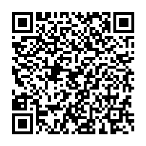 不知道小土如今有没有将自己给他的五条属性不同的龙吞噬炼化完毕二维码生成