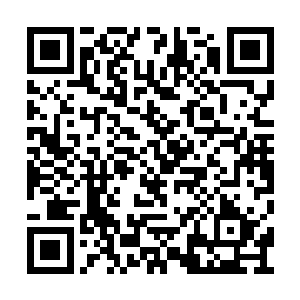 不管到底是用了什么手段什么策略什么方式方法二维码生成