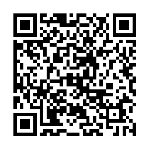 不让他们知道我难对付他们又怎么会继续把任务交给你二维码生成