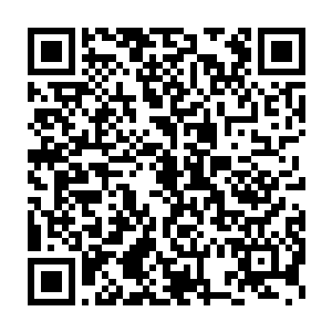 不该把你轻易托付给白老大他是一名优秀的舰队指挥官和超一流的星盗二维码生成