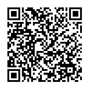 不过一直紧紧关注着他们的血妖姬们却是发现那些妖帝眸中的疑惑二维码生成