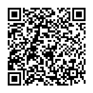 不过他也同时得到了这二十几个大势力所属的神王境死士的指挥权二维码生成