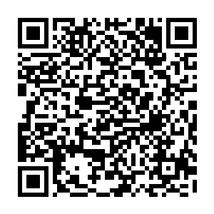 不错……不错……正是无恨龟……和宗门留下来的图册中记载得一模一样二维码生成