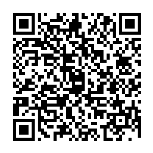 与其担心他的安全倒不如担心如果他继续在后山猎杀灵兽会让其他人无灵兽可杀二维码生成