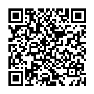 与此同时我也感知到了一阵阵悉悉索索的声音越发的清晰二维码生成