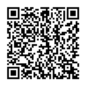 东罗峰自不量力向落日峰发起挑战的时候已经是注定了这样的结局了二维码生成