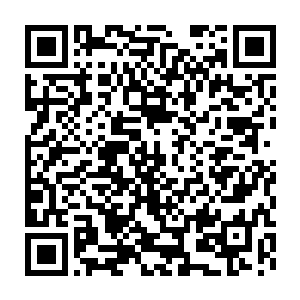 中华物流的汽车采购明明已经确定从天行投资旗下的汽车公司采购二维码生成