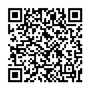 为他们在刚刚成立的欧盟赢得了十分不俗的位置二维码生成