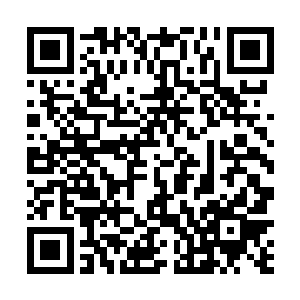 之前混沌钟灌入自己体内的那股强大力量也再飞快流逝二维码生成