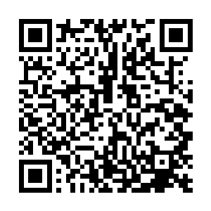 也只有我们大日本帝国才能培养出向您这样优秀的军人二维码生成