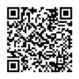 也只有那最顶尖的几人能够勉强进入那须弥山之中二维码生成