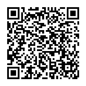 也能猜得到图卓仙人之所以能逗留在下界与他手中这片绿叶状的符文有关系二维码生成