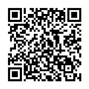 书记办公会通过的方案上常委会居然会变成这般模样二维码生成