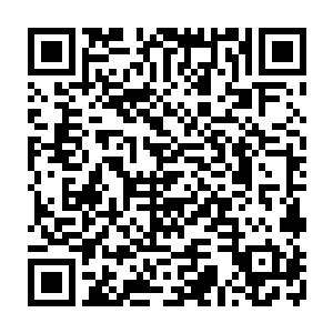 于是这枚手枪子弹头就立刻被江少游弹出的步枪子弹头给撞得改变了方向二维码生成