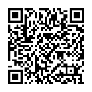 人家有资格在人类基因组计划中掌握一个项目组二维码生成