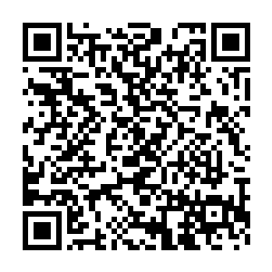 今儿来了几位大臣好像是商谈三天后四国大比的第一场比试的事情二维码生成