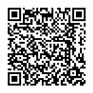 从中央到地方都要求在人大和政协中民营经济的代表要有一定比例二维码生成