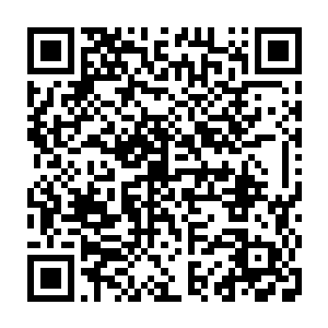 从国内软件信息业发展历程和现状以及前景到软件信息业对国民经济拉动的效果二维码生成